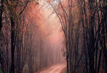 虎扑足球官网：[图]王钰栋造乌龙+处子球布彭扎双响 浙江4-0三镇.