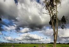 虎扑足球官网：[图]王钰栋造乌龙+处子球布彭扎双响 浙江4-0三镇.