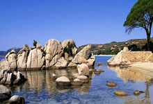 中俄武者在竞技中增进友谊.